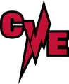 CVE Falicon